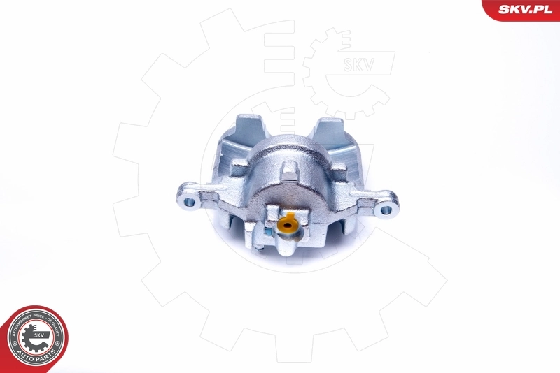 Brake Caliper 42SKV182