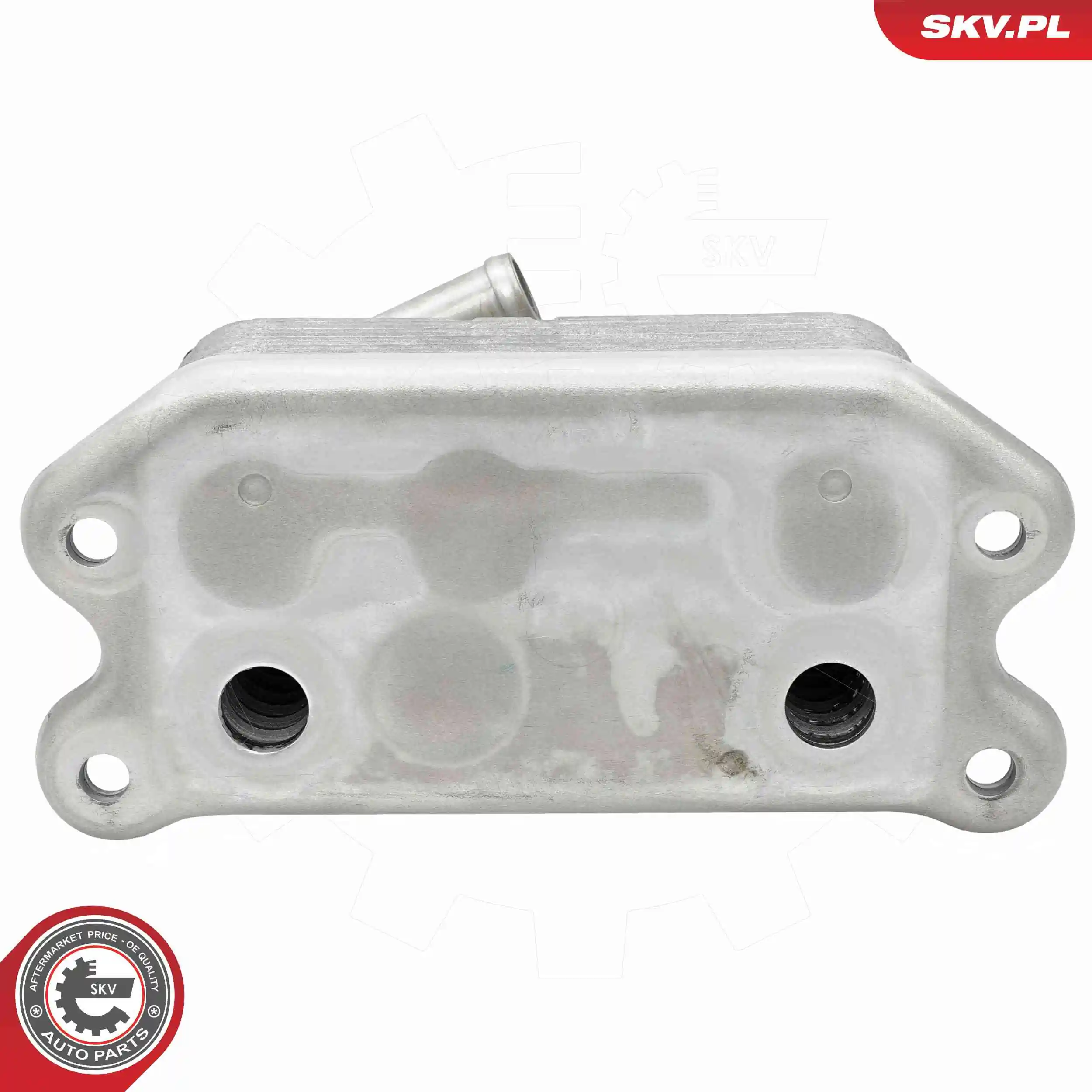 Oil Cooler, engine oil 31SKV300