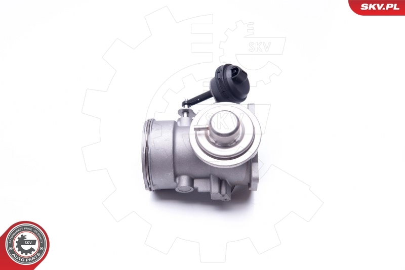 EGR Valve 14SKV091