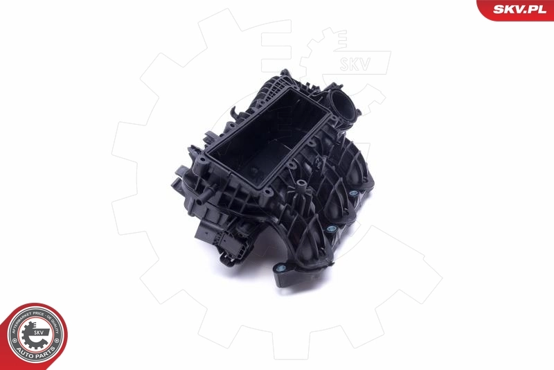 Intake Manifold Module 49SKV061