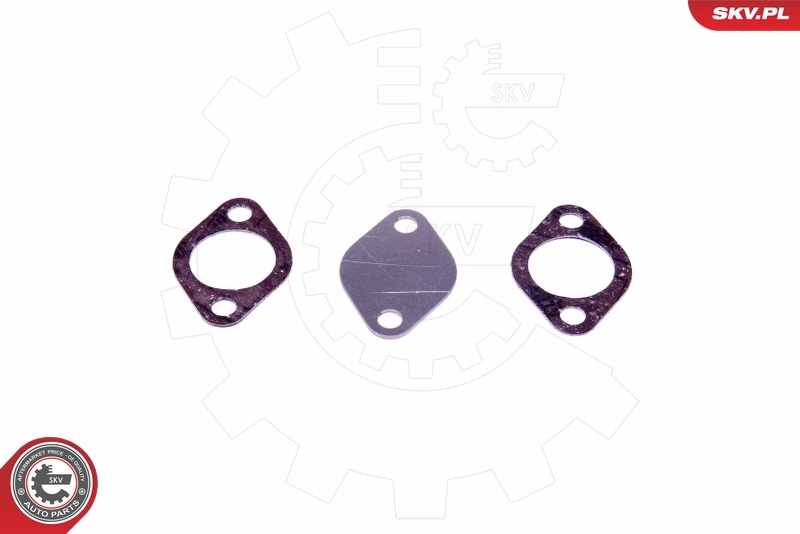ESEN SKV 14SKV550 Repair Set, EGR valve