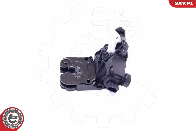 Tailgate Lock 16SKV218