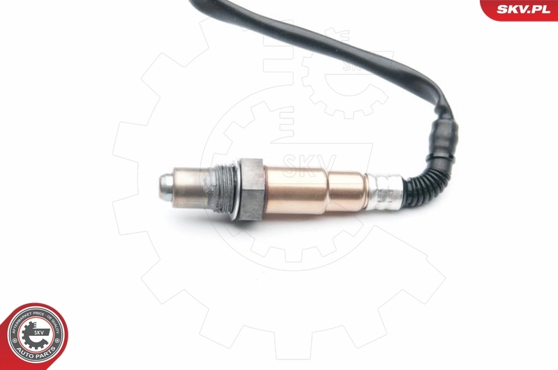 Oxygen Sensor 09SKV694