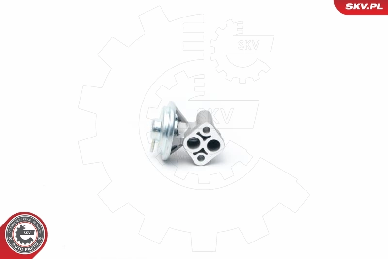 EGR Valve 14SKV104
