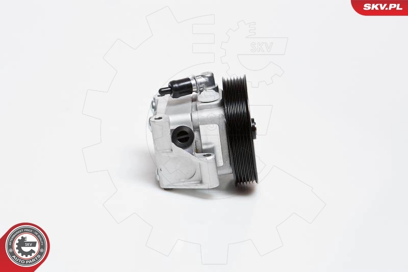 Hydraulic Pump, steering 10SKV091