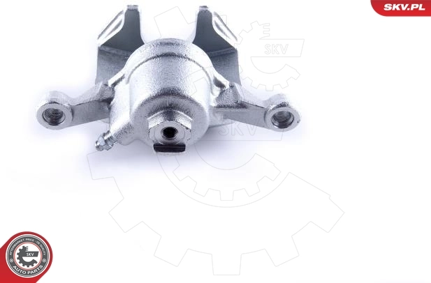 Brake Caliper 50SKV843