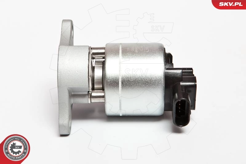 EGR Valve 14SKV042