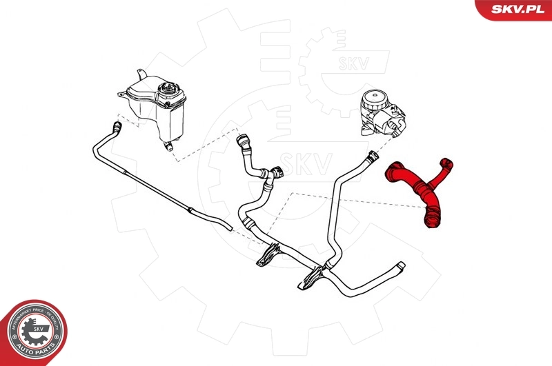 Radiator Hose 43SKV706