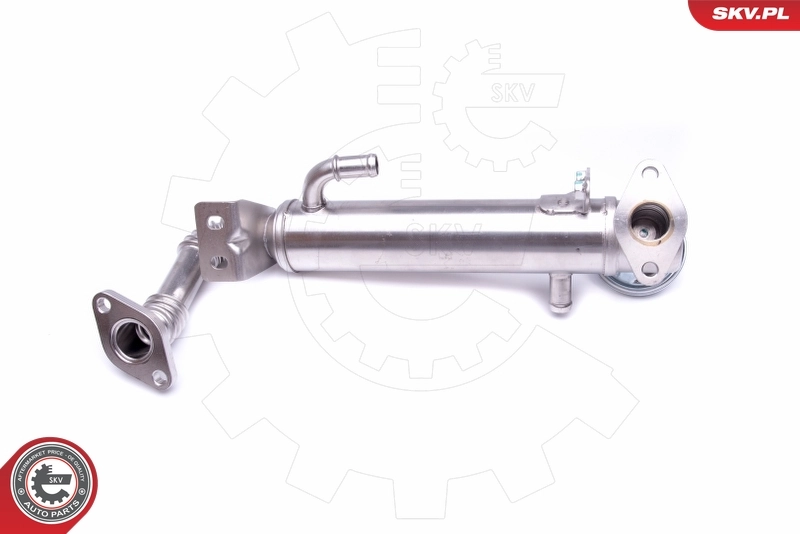 Cooler, exhaust gas recirculation 14SKV229