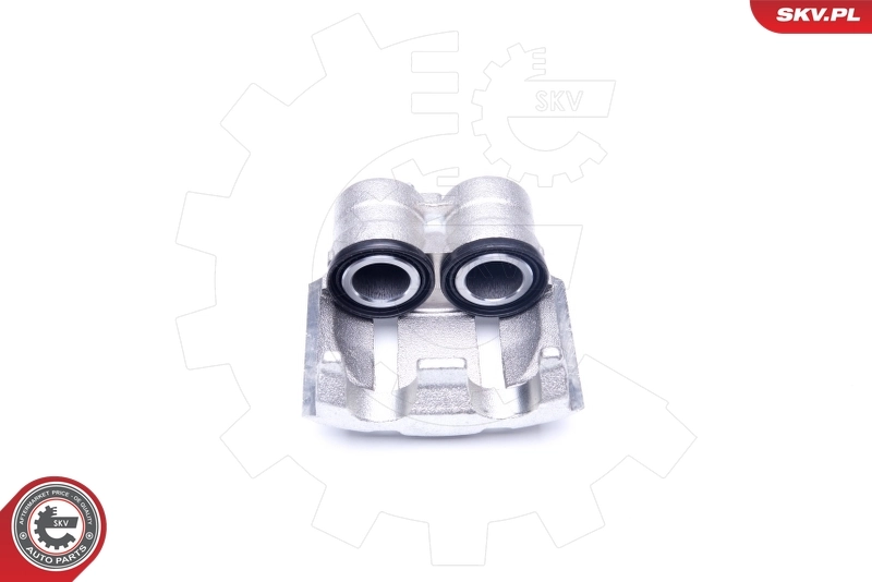 Brake Caliper 42SKV121