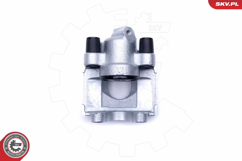 Brake Caliper 50SKV234