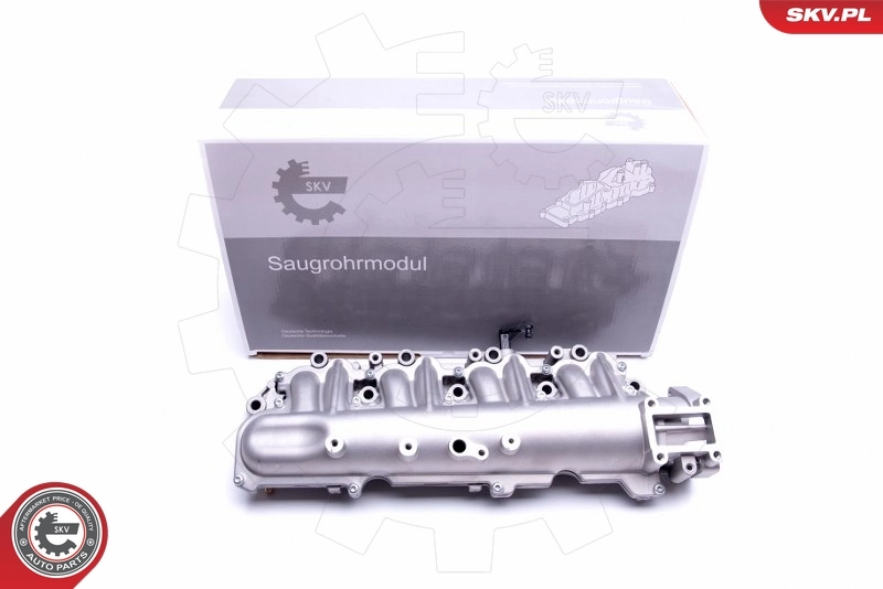 Intake Manifold Module 49SKV029