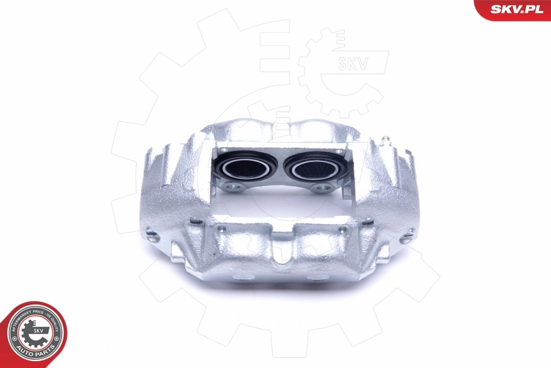 Brake Caliper 45SKV232