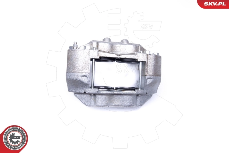 Brake Caliper 45SKV132