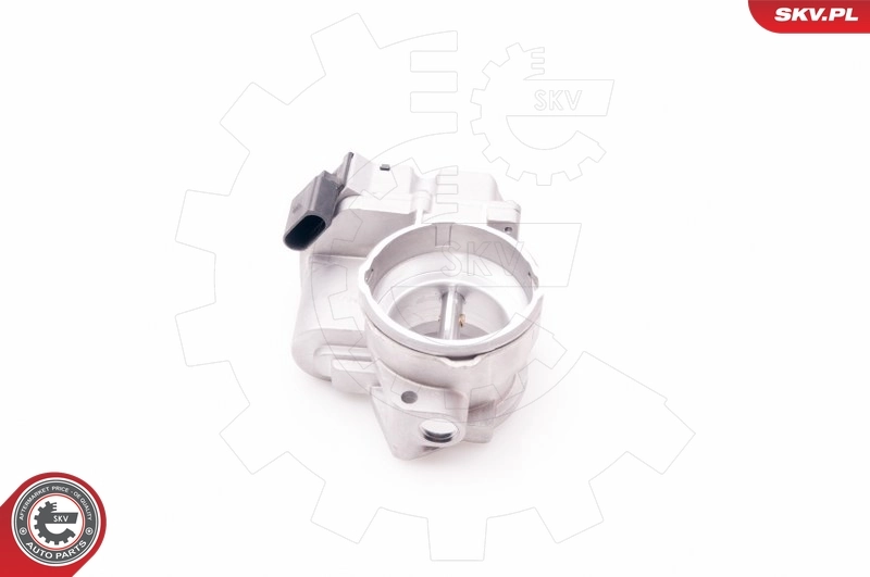 Throttle Body 12SKV062