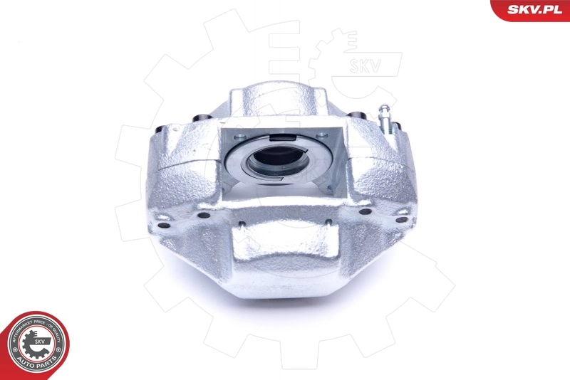 Brake Caliper 45SKV251