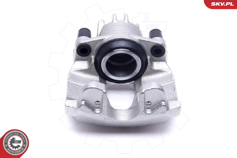 Brake Caliper 56SKV281
