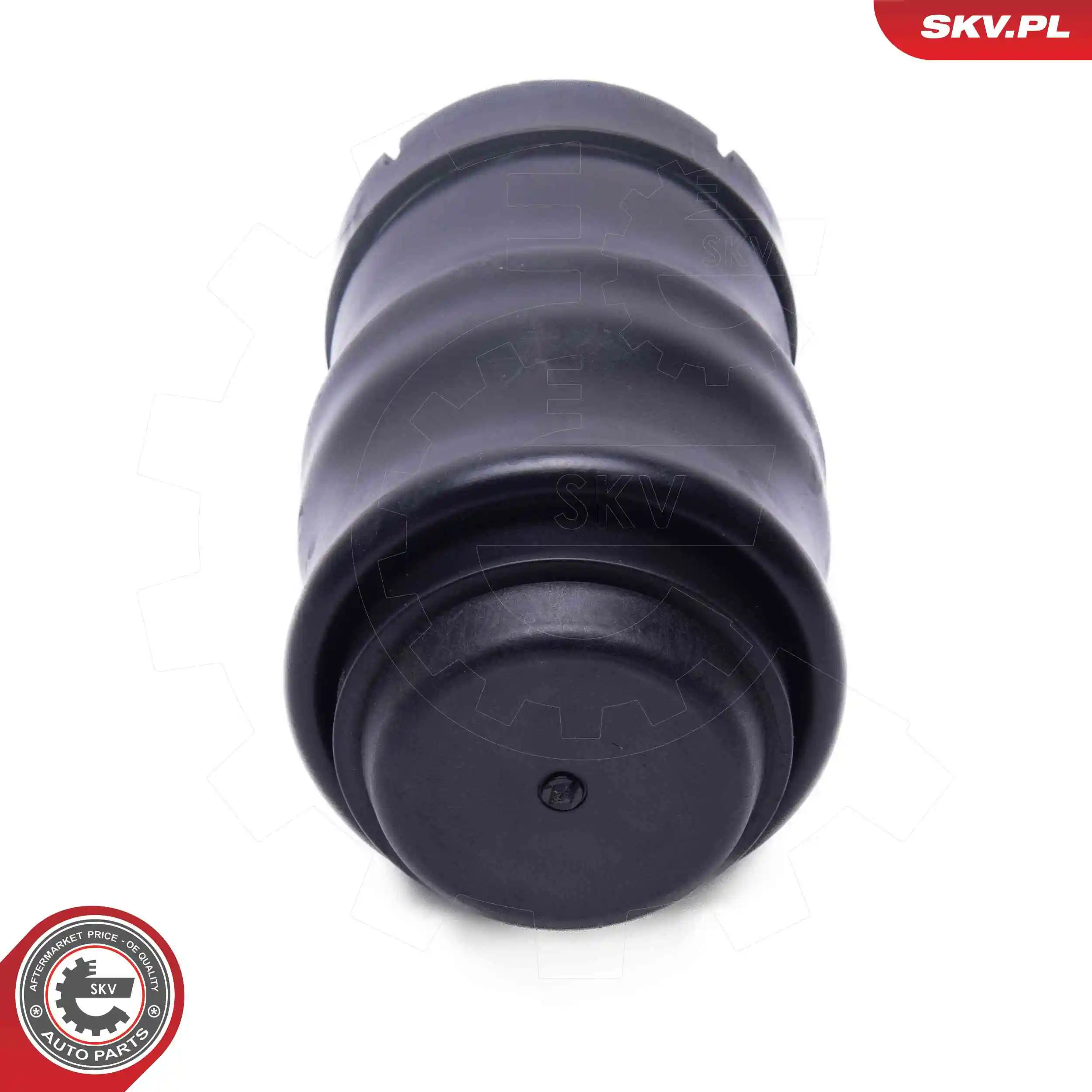Air Spring, suspension 58SKV092