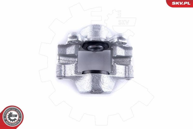 ESEN SKV 55SKV224 Brake Caliper