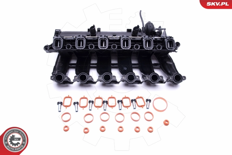 Intake Manifold Module 49SKV016