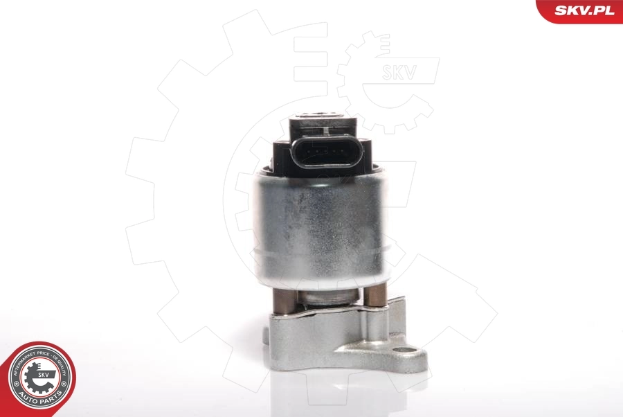 EGR Valve 14SKV041