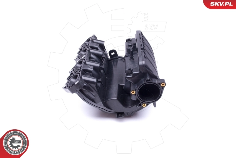 Intake Manifold Module 49SKV046