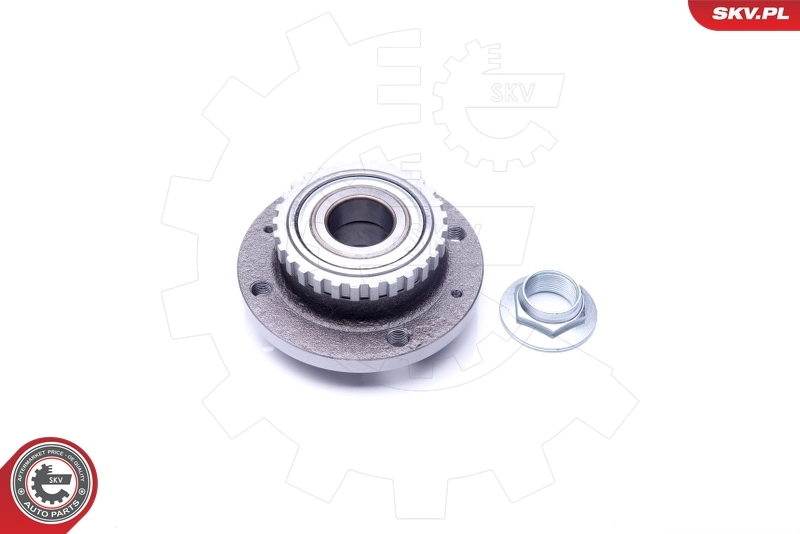 Wheel Bearing Kit 29SKV201