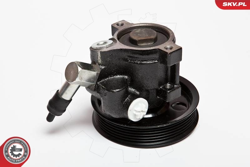 Hydraulic Pump, steering 10SKV066