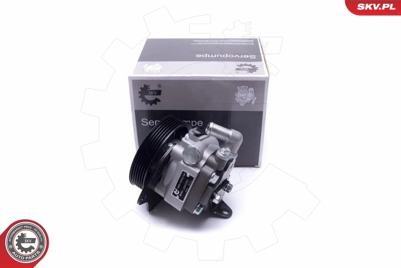 Hydraulic Pump, steering 10SKV294