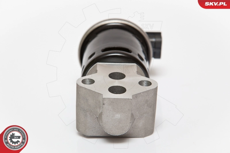 EGR Valve 14SKV053