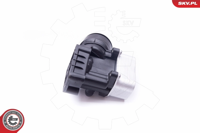 Housing, oil filter 31SKV054