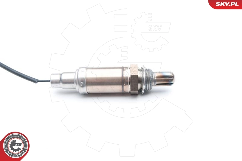 Oxygen Sensor 09SKV719