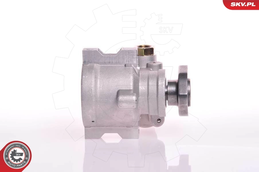 Hydraulic Pump, steering 10SKV147