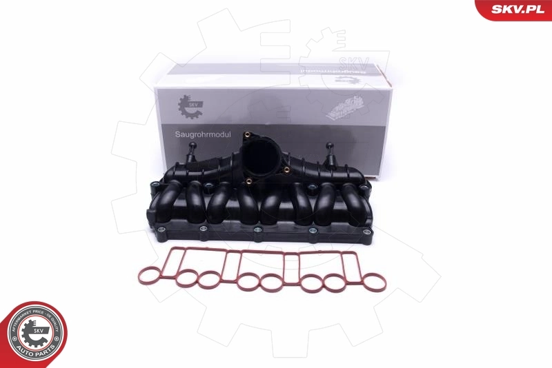 Intake Manifold Module 49SKV066