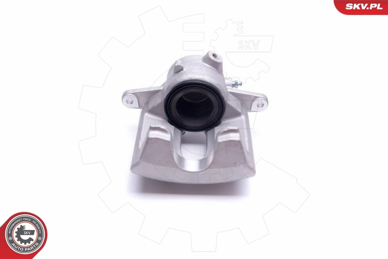 Brake Caliper 46SKV791