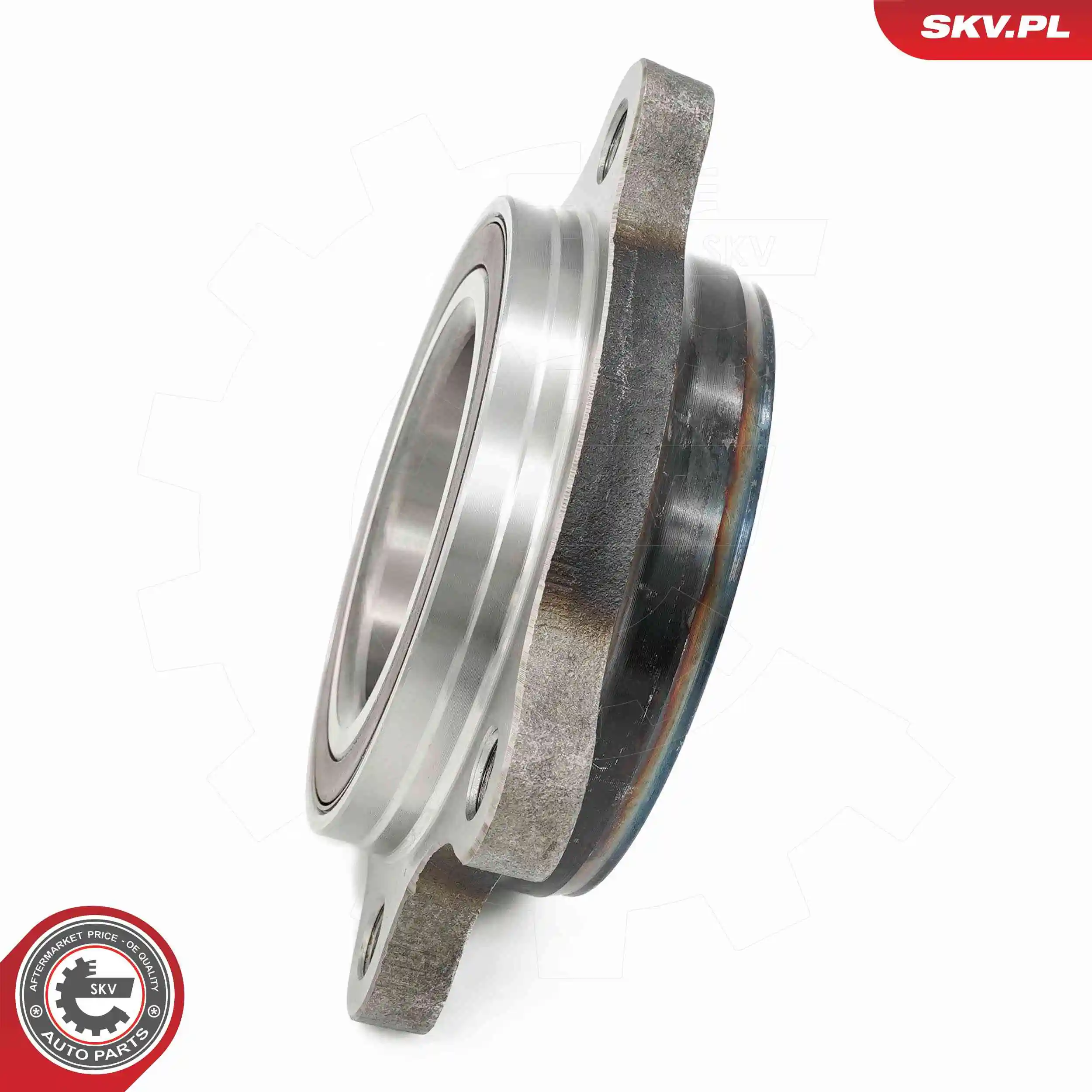 ESEN SKV 29SKV698 Wheel Bearing Kit