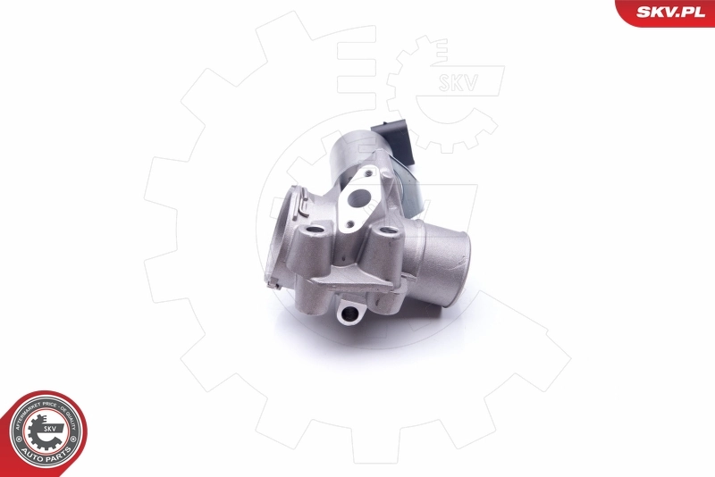 EGR Valve 14SKV186