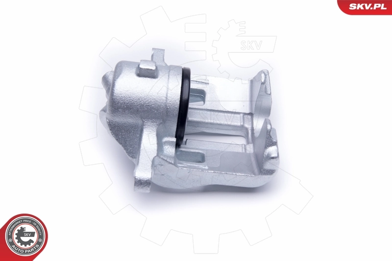 Brake Caliper 50SKV322
