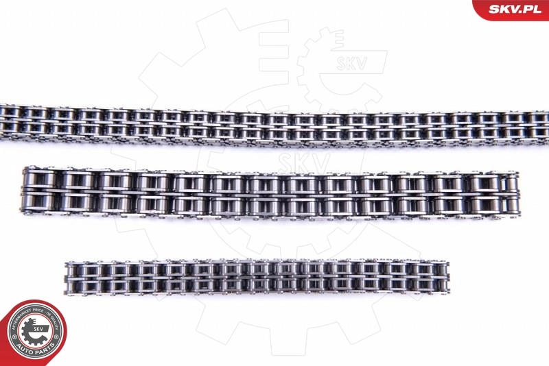 ESEN SKV 21SKV237 Timing Chain Kit