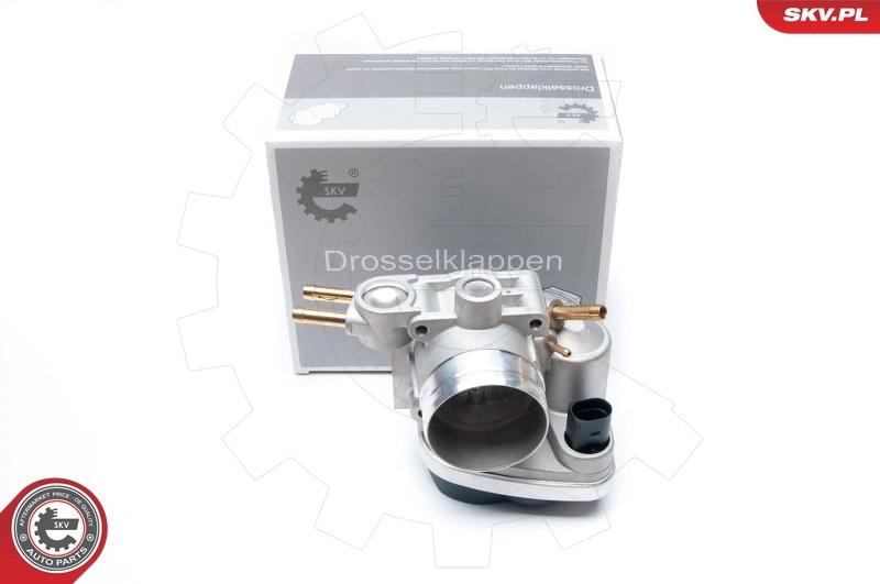 Throttle Body 12SKV048