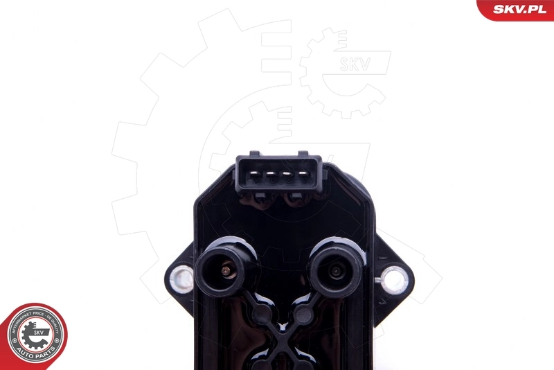Ignition Coil 03SKV299