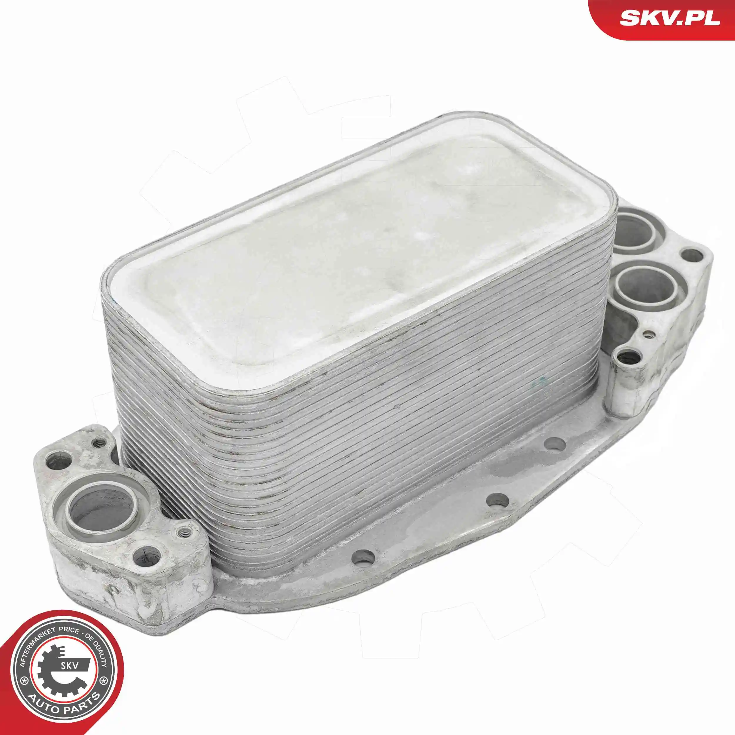 Oil Cooler, engine oil 31SKV369