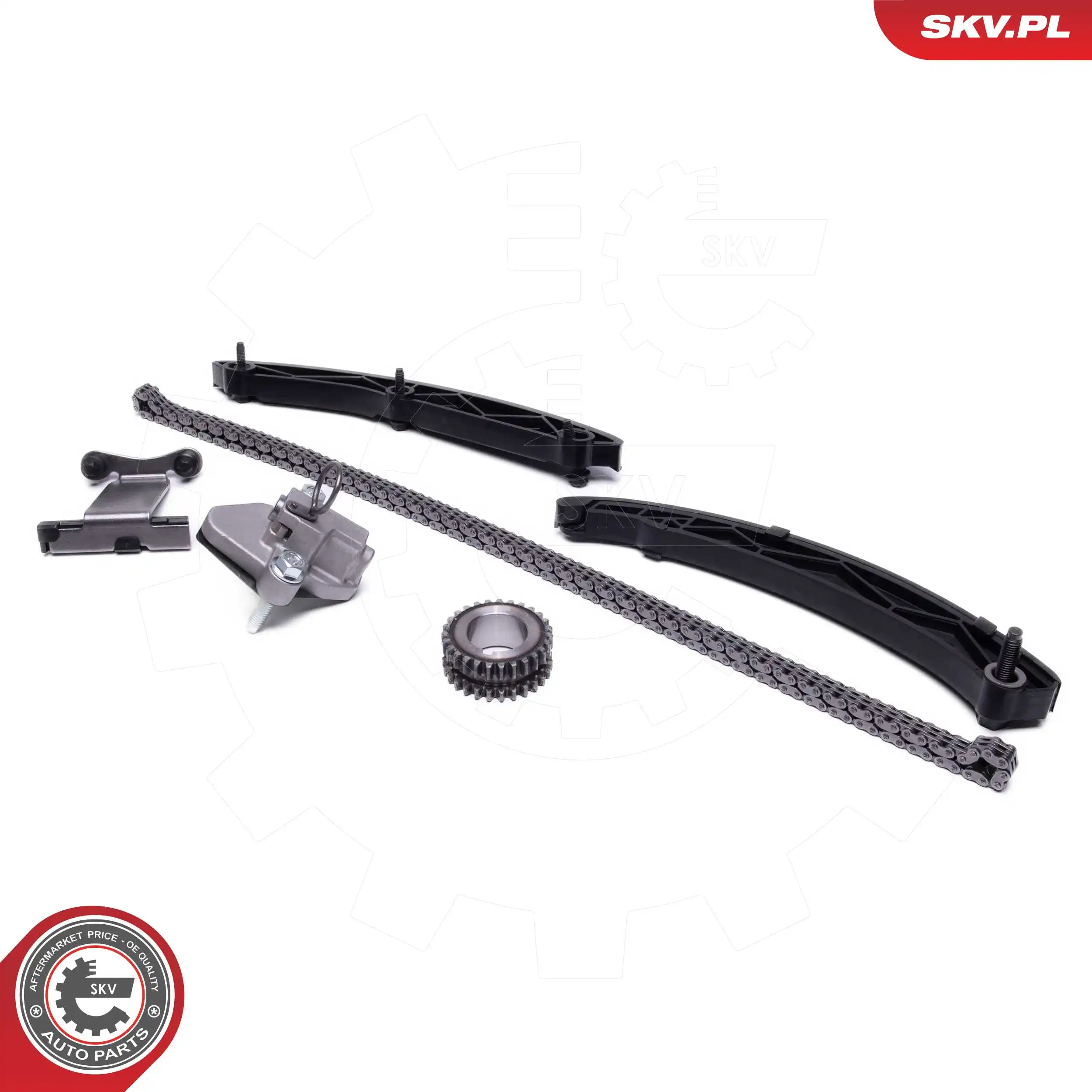Timing Chain Kit 21SKV271