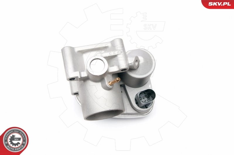 Throttle Body 12SKV042