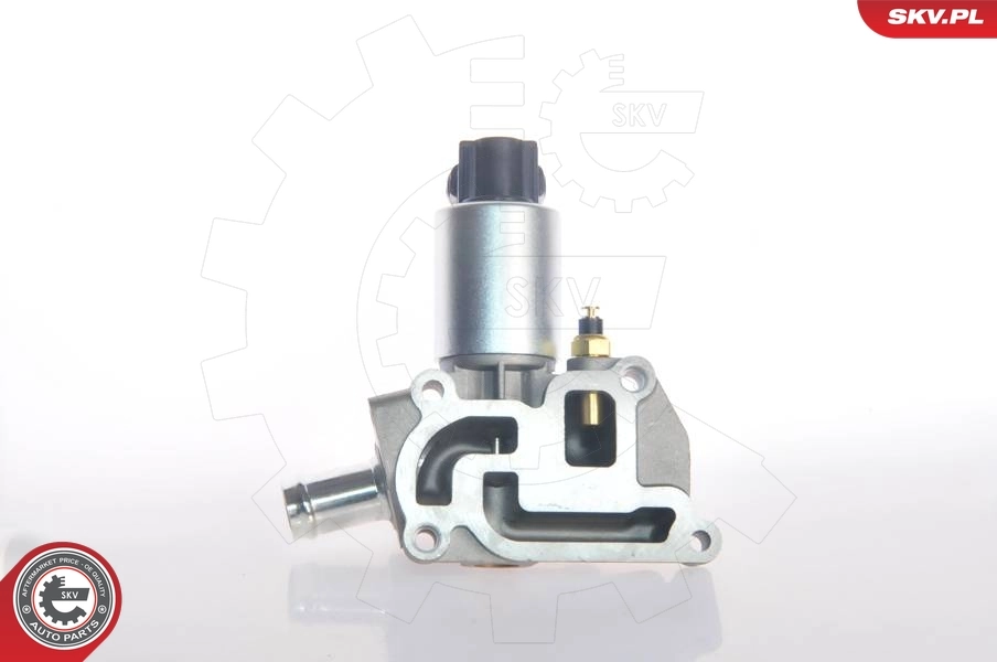 ESEN SKV 14SKV015 EGR Valve
