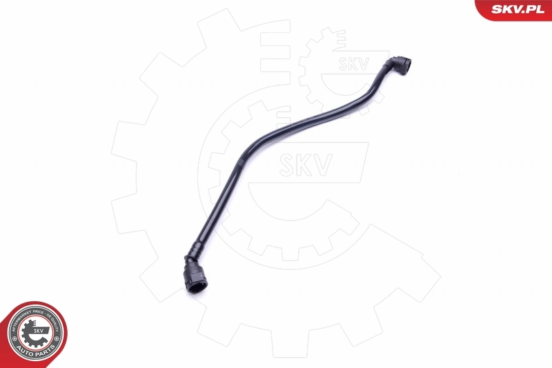 Radiator Hose 43SKV646