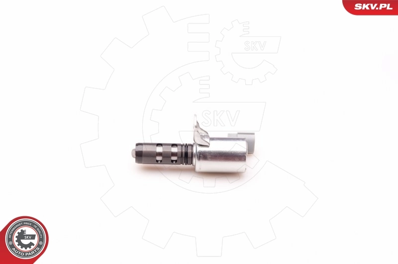 Control Valve, camshaft adjustment 39SKV006