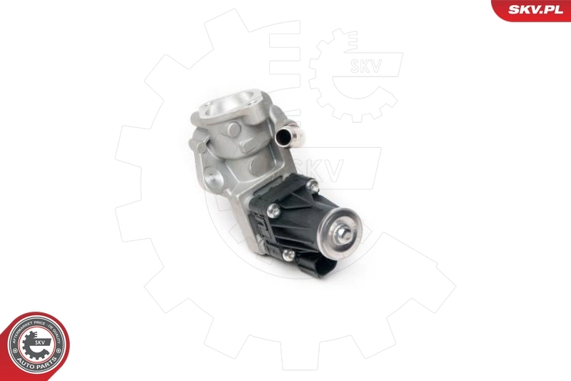 EGR Valve 14SKV100