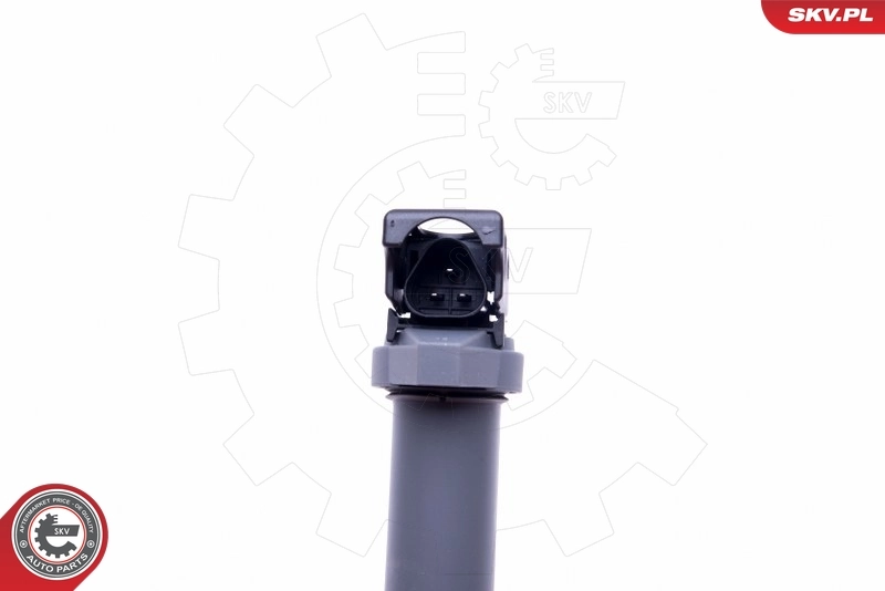 Ignition Coil 03SKV291