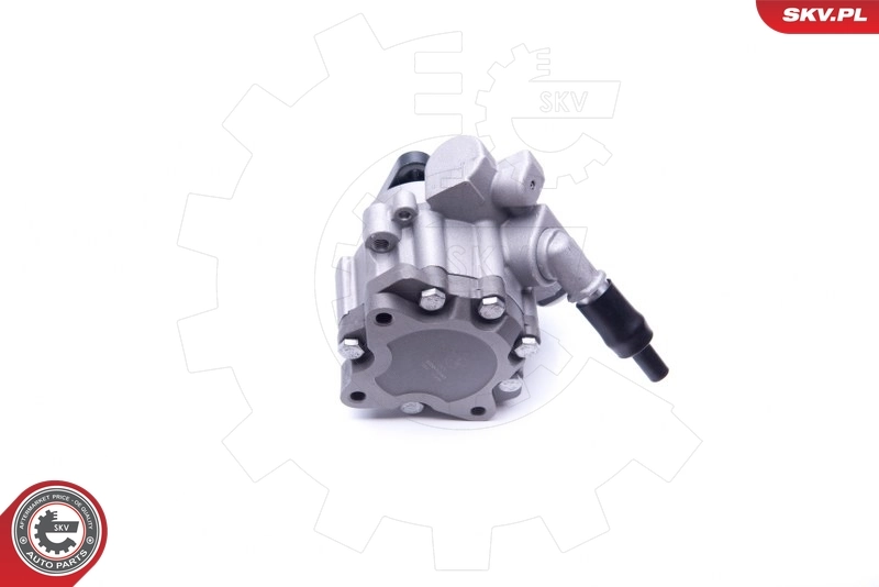 Hydraulic Pump, steering 10SKV243